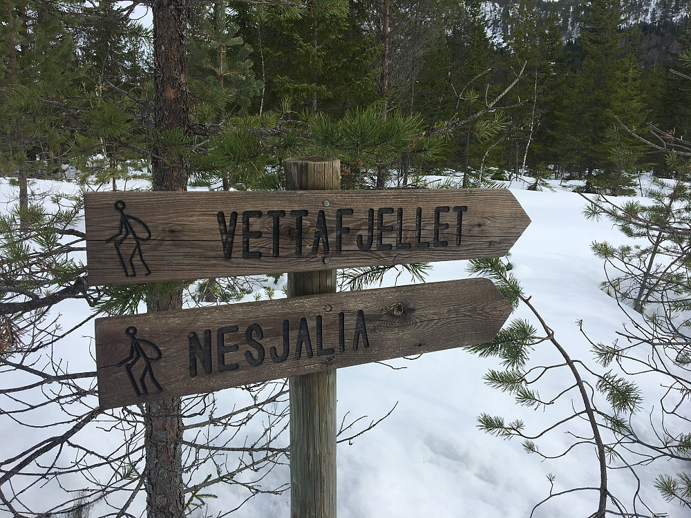 Til Vetafjellet