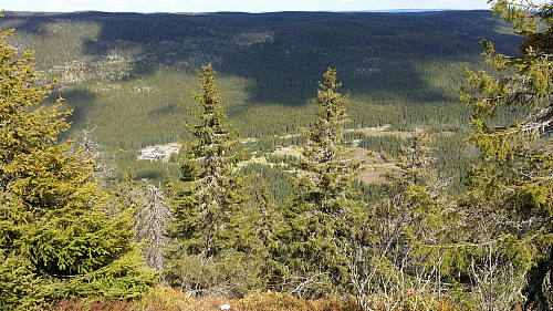 Utsikt over Torsætra fra ca. 820 moh.