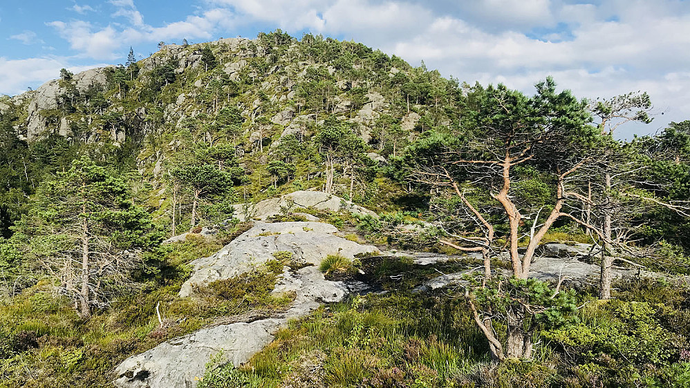 Fine svaberg å forsere