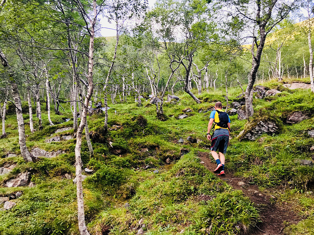 Opp Børresdalen fra Myrbostadsetra