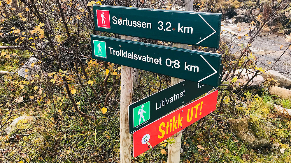 Sørtussen neste