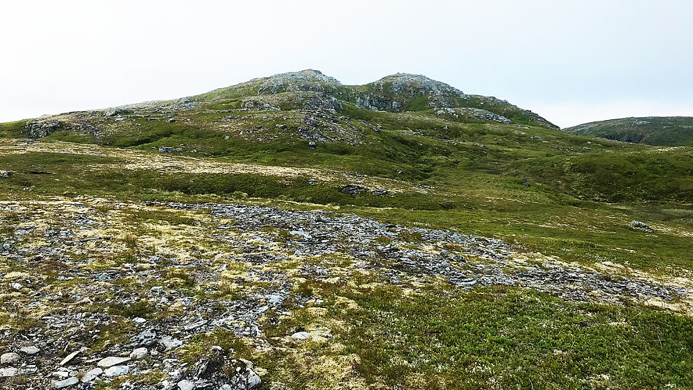 Grønfjellet
