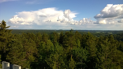 Utsikt fra tårnet