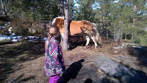 Kaja syns det var gøy med hest her oppe :)