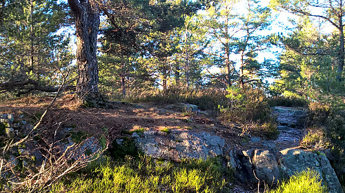 Toppen sett fra Bålplassen