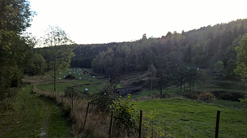 Svindalen