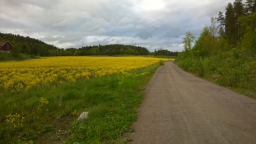 grusveien ned fra parkeringen