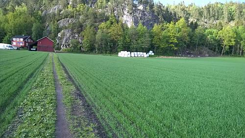 sti over jordet mot flatåsen, oppgang i høyre hjørne