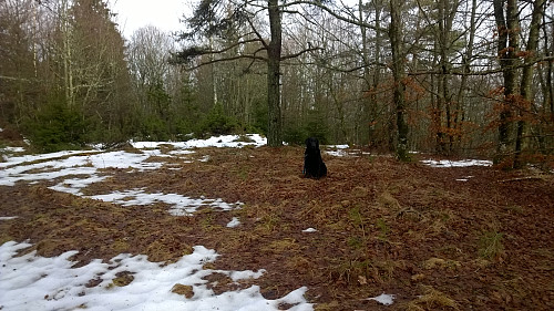 Pondus på toppen av Bjørnåsen