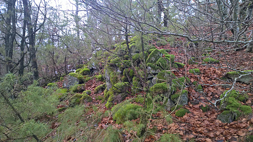 Bygdeborg på vei opp til Lunnskollen
