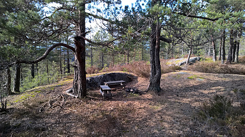 krakker på toppen av Vakås