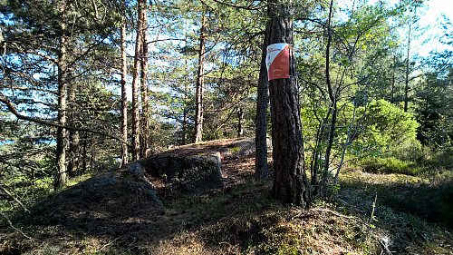 Topp punktet på Frøsås, etter at jeg var her sist har det blitt hengt opp orienteringsposter i området.