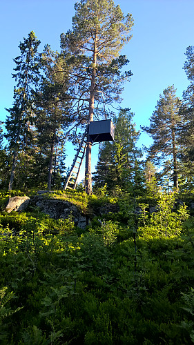 "fuglekassa"