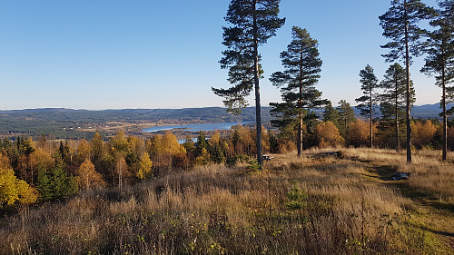 Utsikt mot Vingersjøen, var mye der når jeg var yngre :)