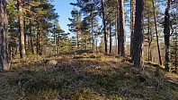 Hauganåsen