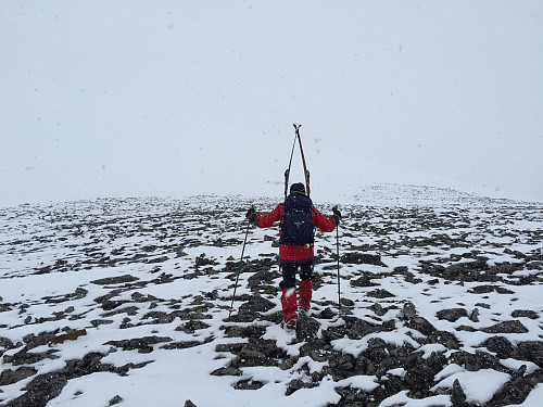 På vei mot Stornubben. Ganske avblåst. Vi kunne ha gått hele turen til fots siden den snøen som var, var veldig hard. Men da det begynte å snø fikk vi fin styresnø på nedturen.