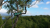 Tollak_20170710_5963ccba5bf58.jpg