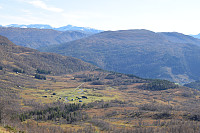Tollak_20171014_59e13f07ce161.jpg