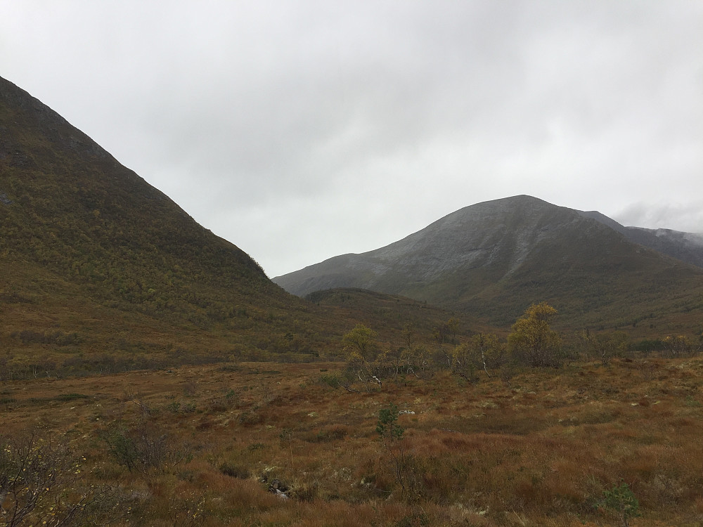 Tverrberget mellom Tarløysa og Skarven. Ligger øverst i Holmemdalen