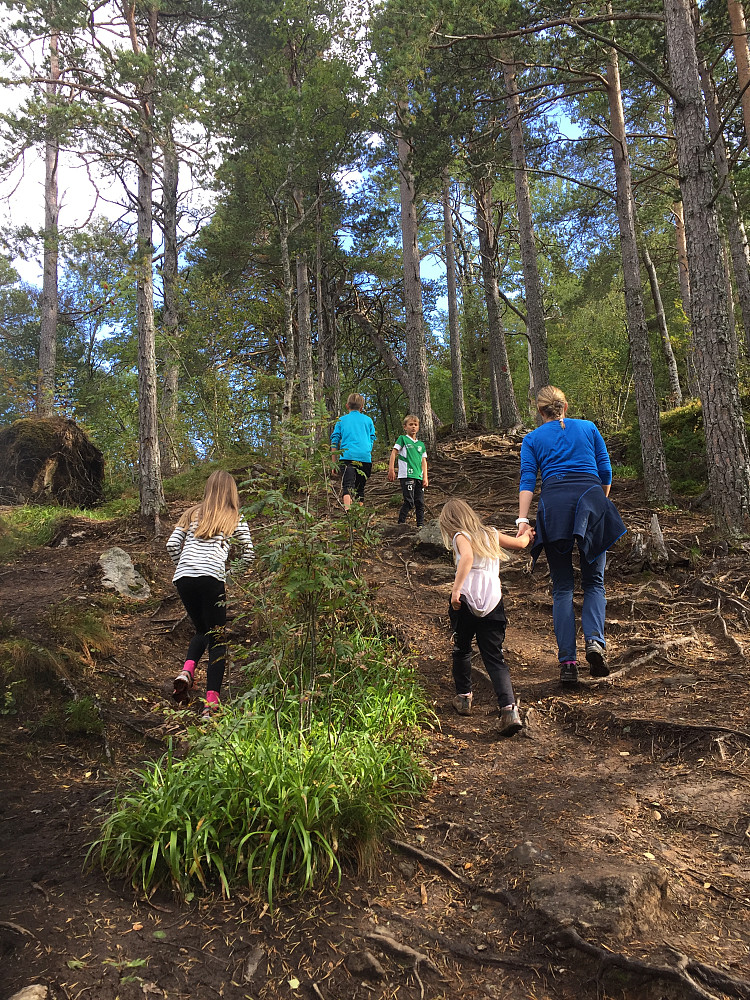 I godt driv på veg opp skogen mot Nesaksla. 