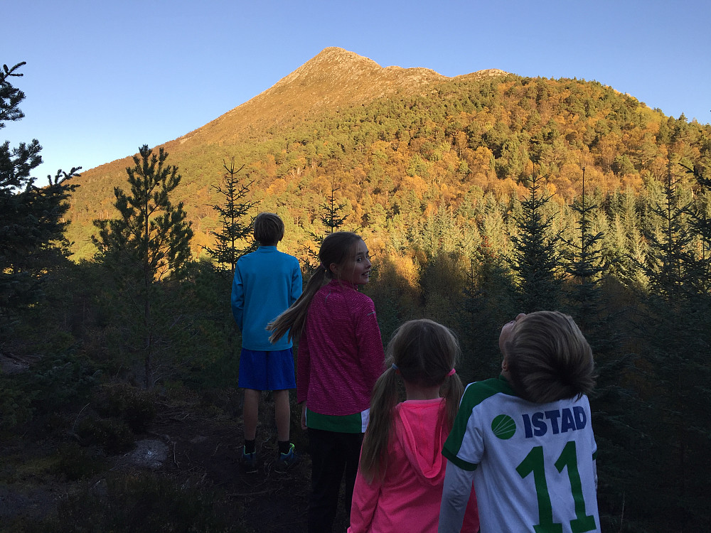 Utsikt mot toppen fra "ryggen"