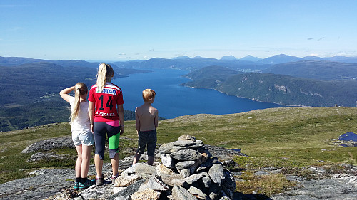 Høyeste punkt på Eidshaugen.