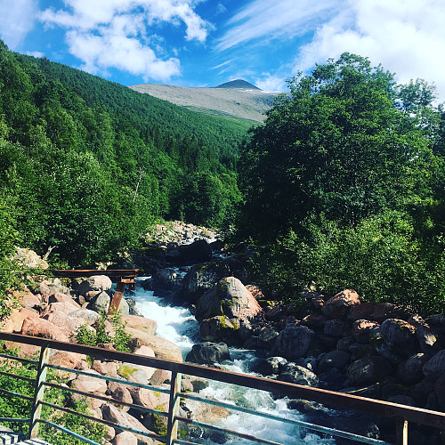 Fin utsikt fra Kvidalsbrua. Brua er en gammel ferge-lem.