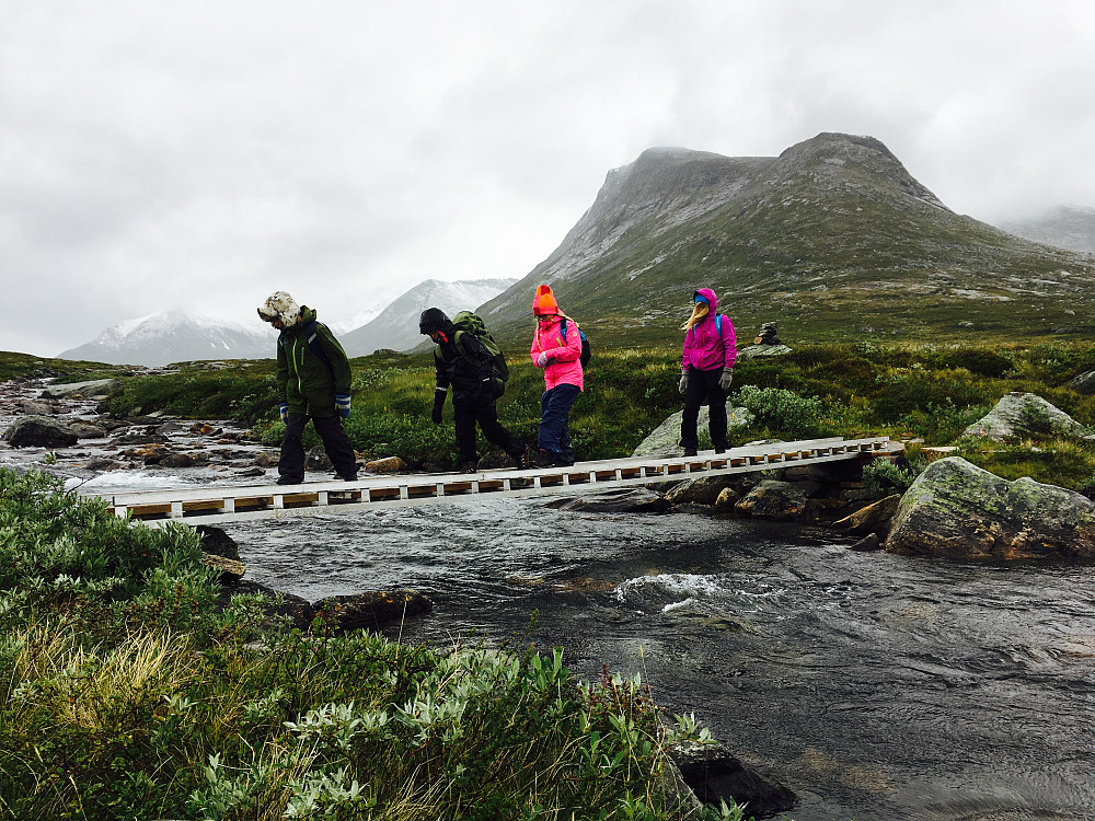 Turistforeninga har laga ei fin bru av en stige over elva.