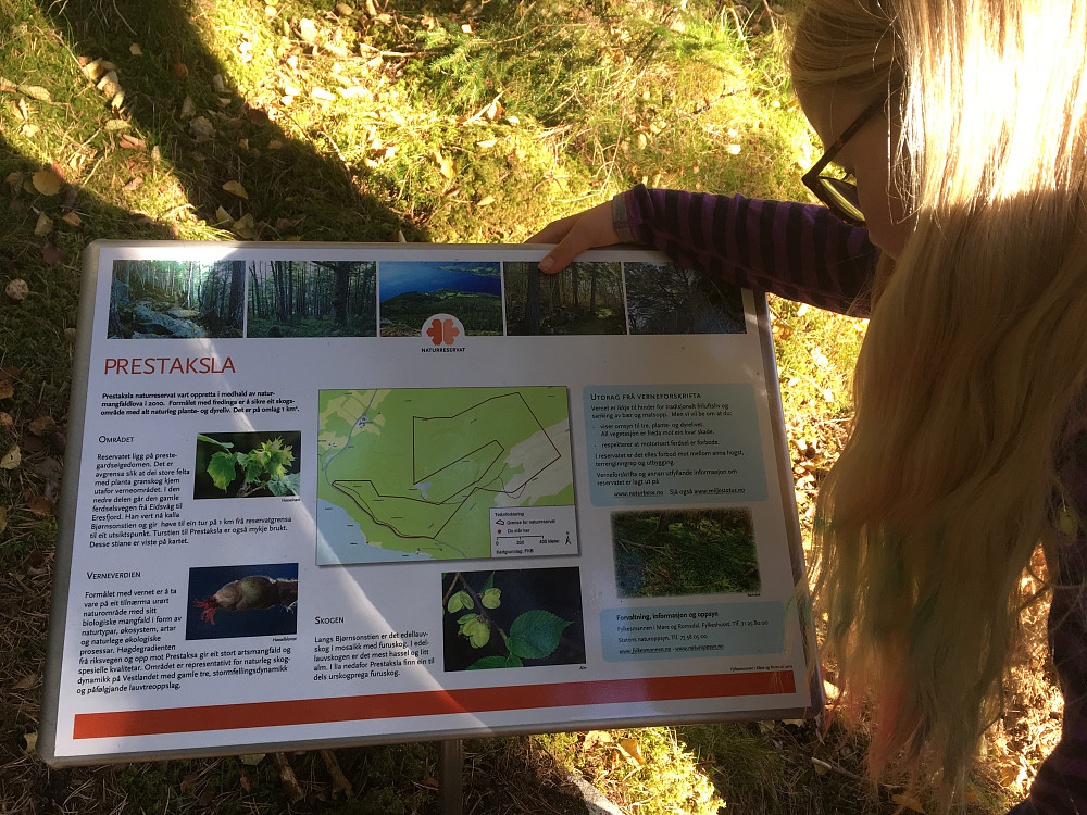 Området er blitt naturreservat siden sist vi var her.