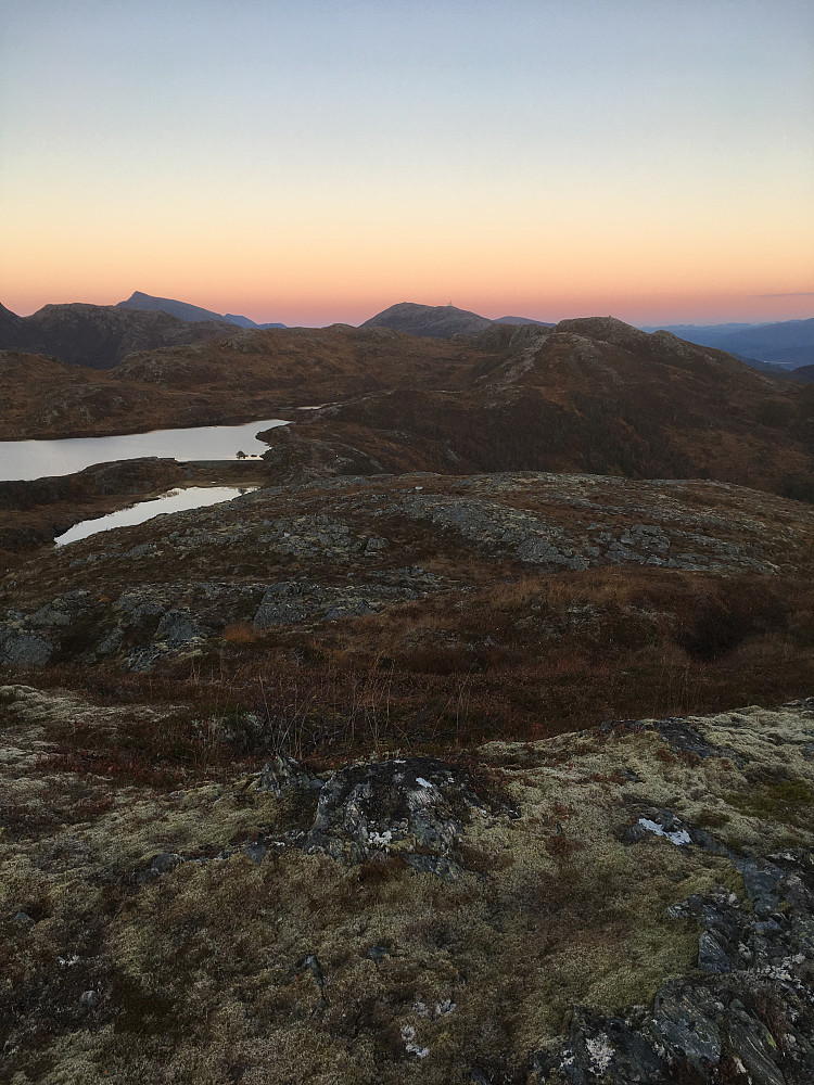 Fin ettermiddagstur til Tågheia. Mye folk ute i Moldeheia, men ingen her oppe på Tågheia. Fint det.