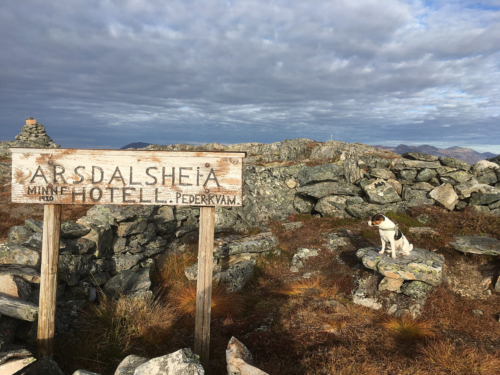 Toppen av Seterfjellet, også kalt Årsdalsheia ser det ut som.