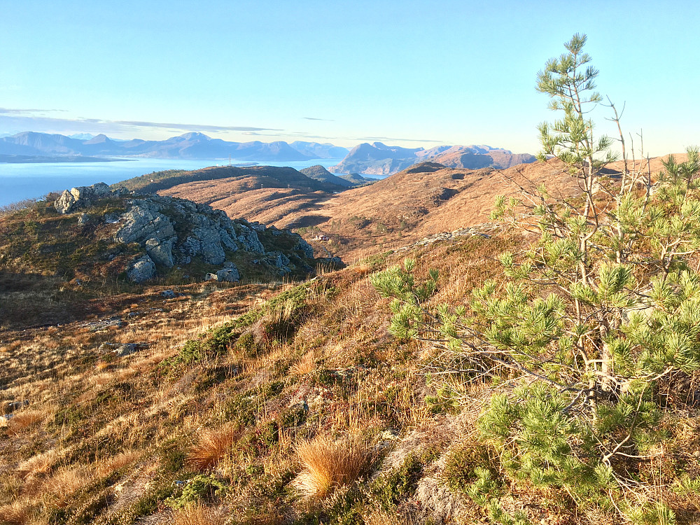 Fulgte stien rett opp fra Vannbrudammen i dag.