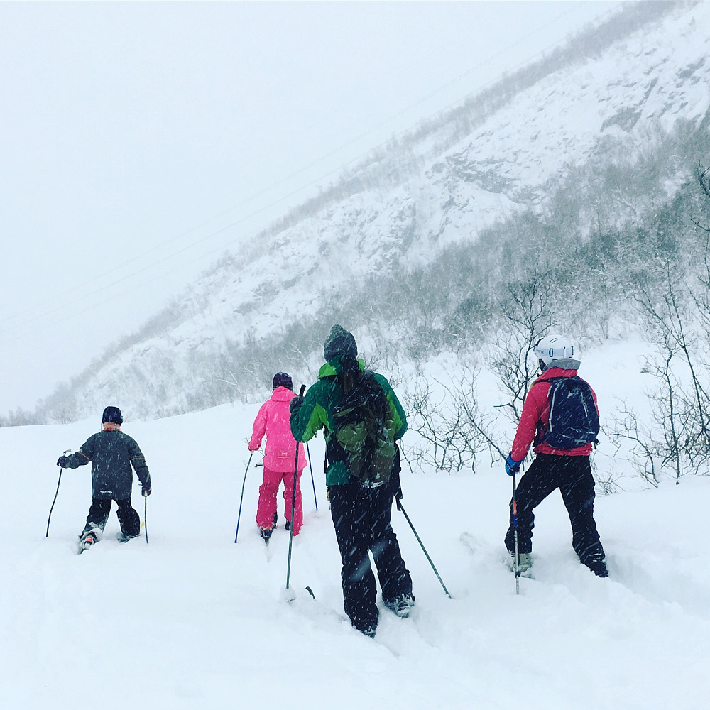 Flokken min på vei ned fra Fjellgarden. Noe av Uglehaugen ses fra øvre høyre hjørne i bildet og ned.