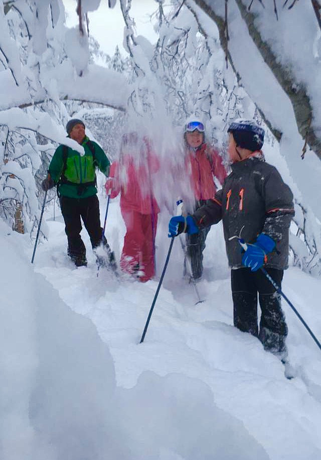 Fint med snø i trærne. En snødusj er også fint.