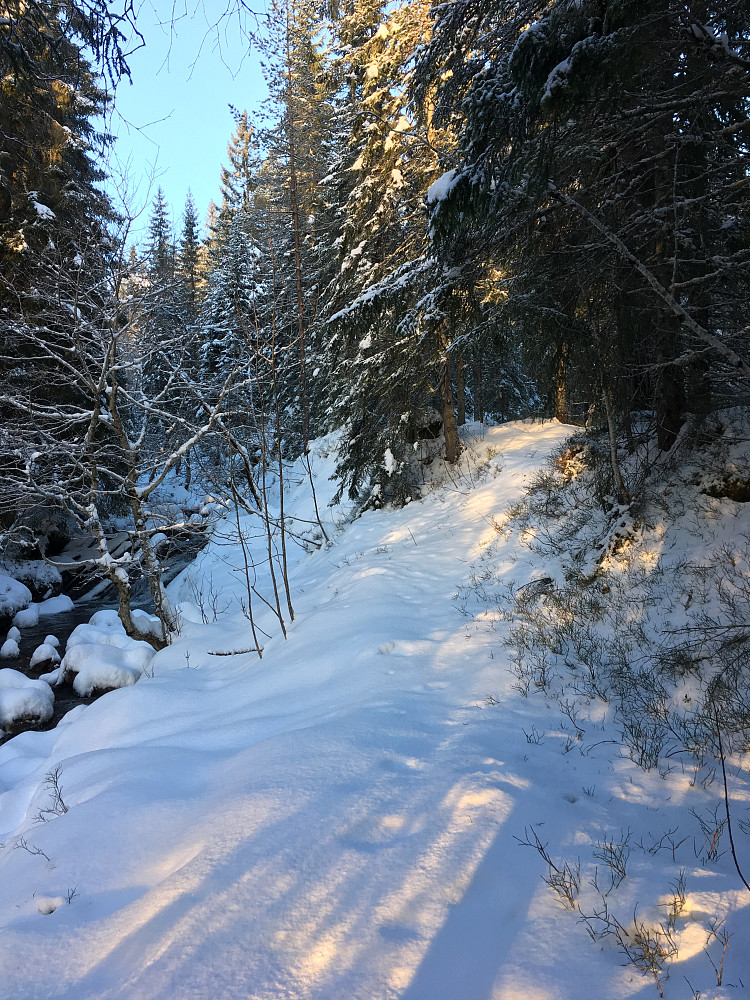 Vurderer å følge 7-topper løypa opp til Tusenårsvarden etterhvert.