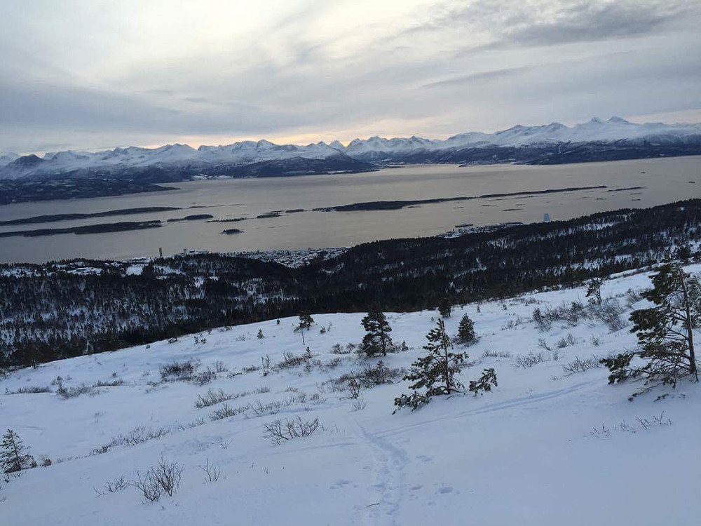 Håper på mere snø i Molde snart!