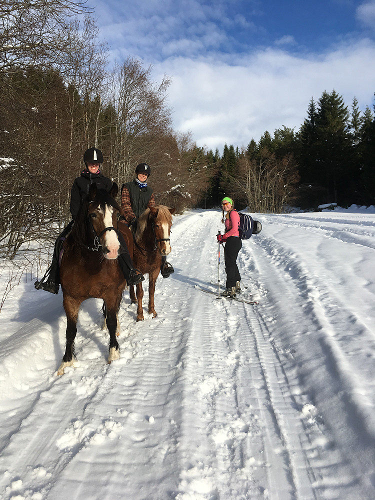 Hestekrefter vs skikrefter... På tur i Eresfjord kan man møte så mangt. Hadde oss bl a en hyggelig hesteprat før vi møtte naboene fra Fagerslett som inviterte hele familien på middag. Utrolig koselig.