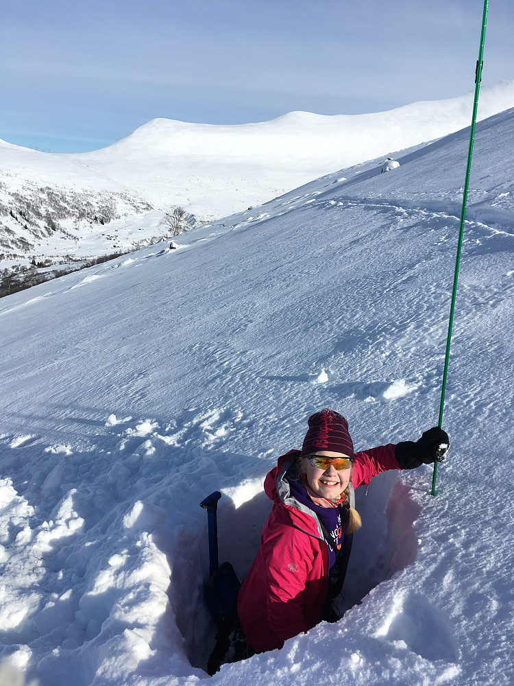 Vi øver oss på å lese snøen og sjekke lagene ved snupunkt oppom "Hølå" og rett nedom ryggen. 80 cm snø fordelt på 20 cm grovkornet skare nederst, deretter 50 cm tettpakka snø med 10 cm pudder øverst. 