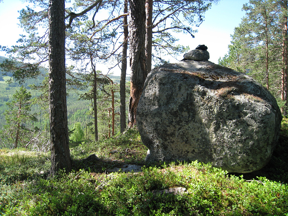 Hesjabakkollen