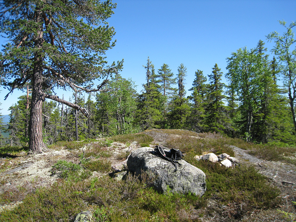 Faksehaugen