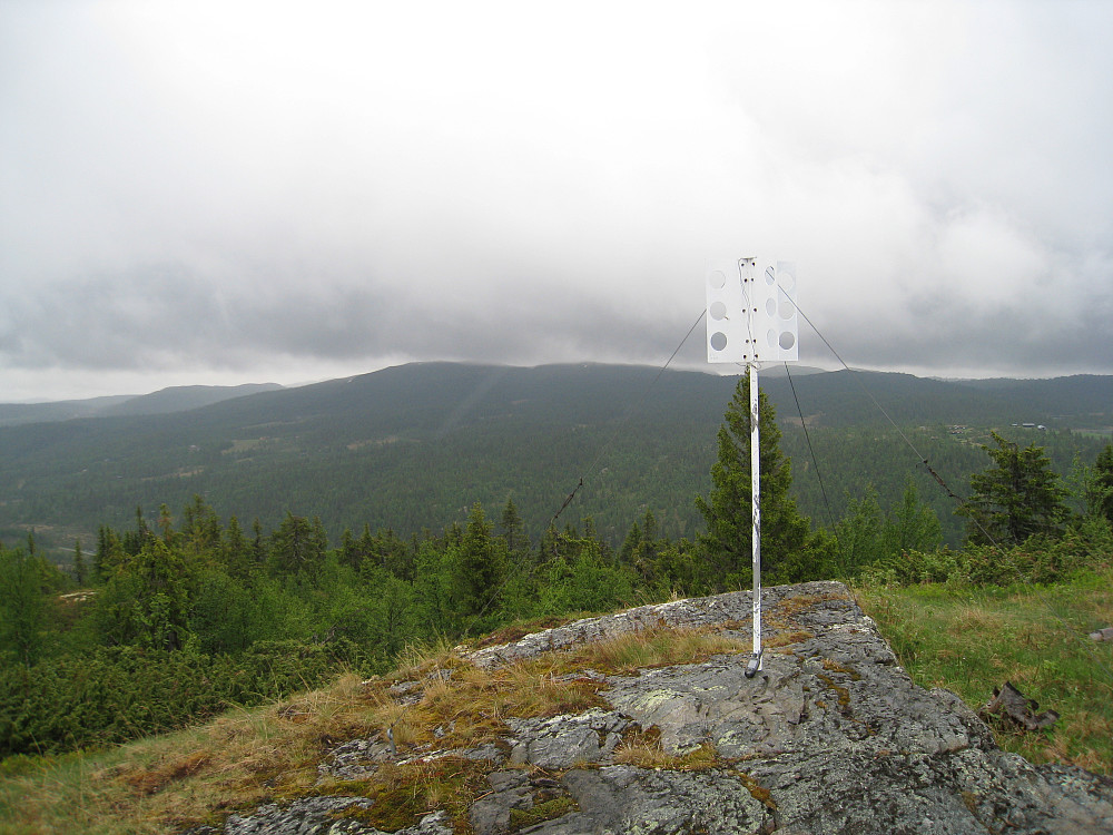 Kollhaugen