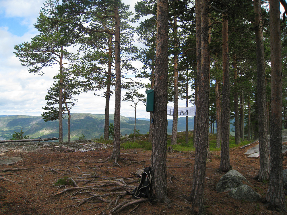 Puttekollen