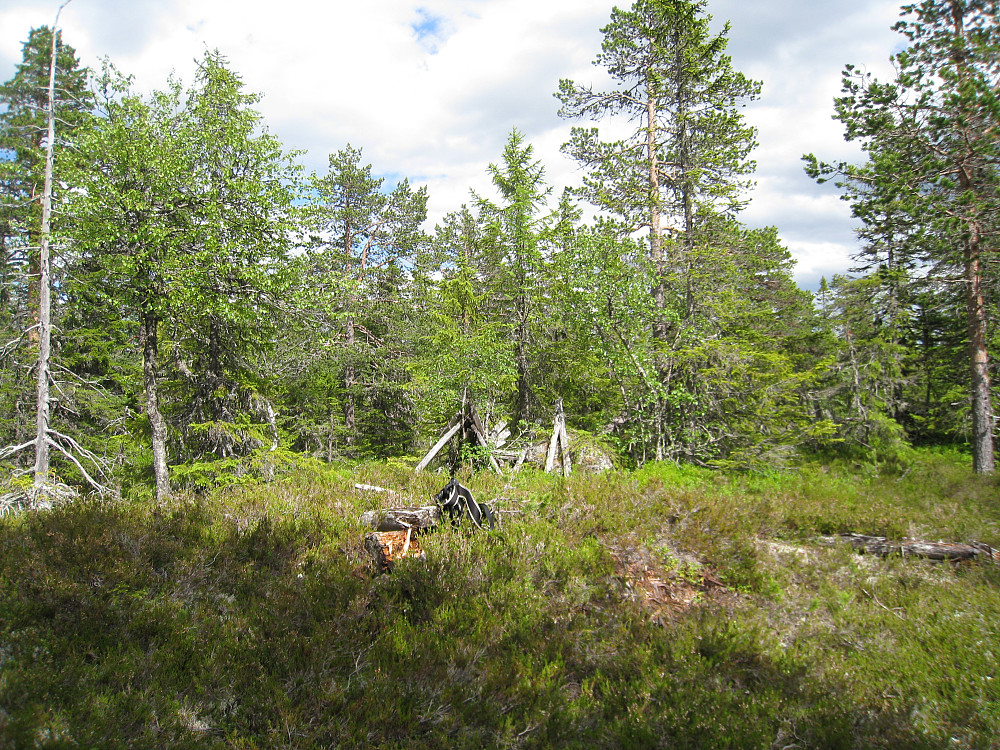 Forfallen varde på Svarttjernbrenna også