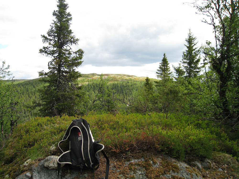 Vest for Makalausfjellet, mot Makalaus