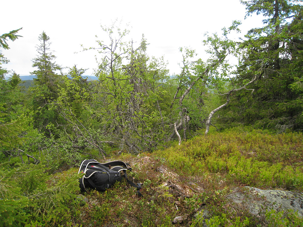 Svarttjednknatten