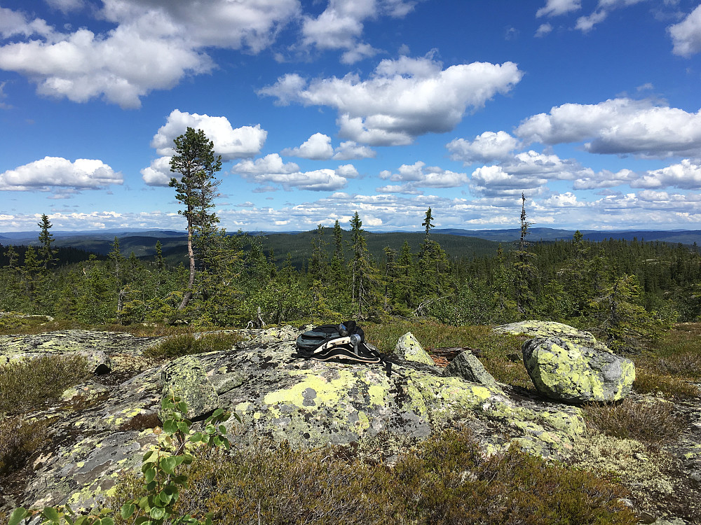 Skurveknatten sett fra Langtjernåsen