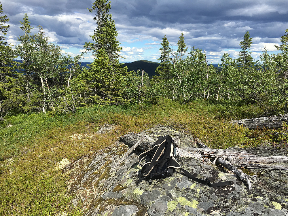 Fra Jevnlisfjellet mot Skurveknatten
