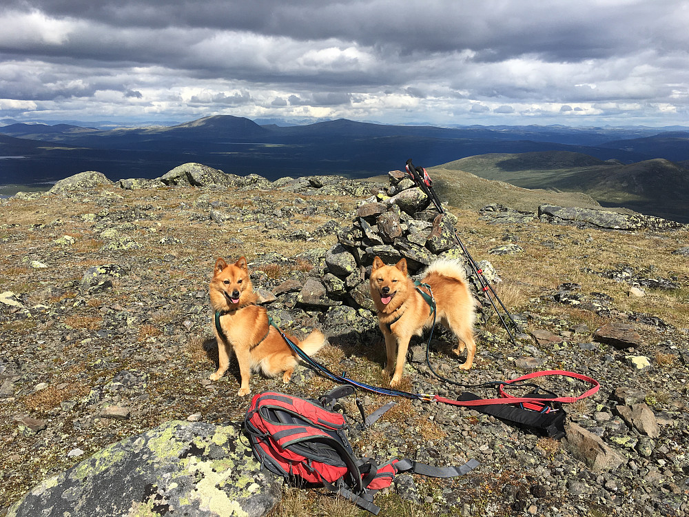 Fra Oskampen, med Rondane langt bak