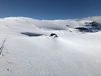 tiurjegern_20180429_5ae6098e1cf65.jpg