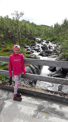 Elva rett etter parkeringen. 
